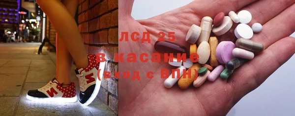 дмт Алзамай