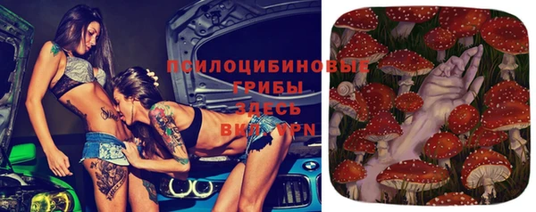 прущие крисы Алексеевка